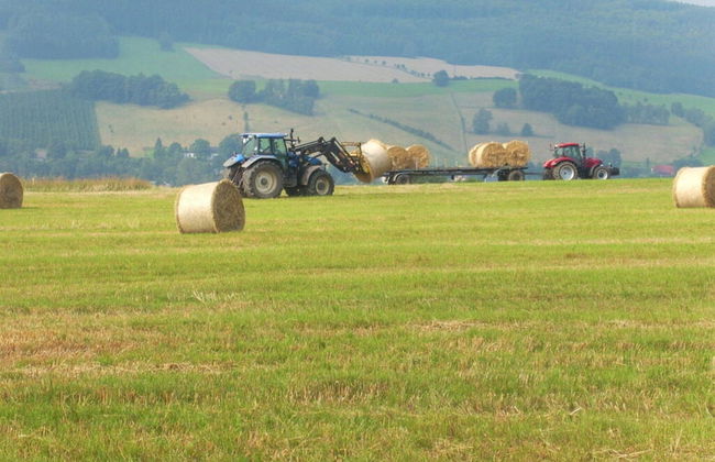 Holiday Home by the Forest - Foto 4