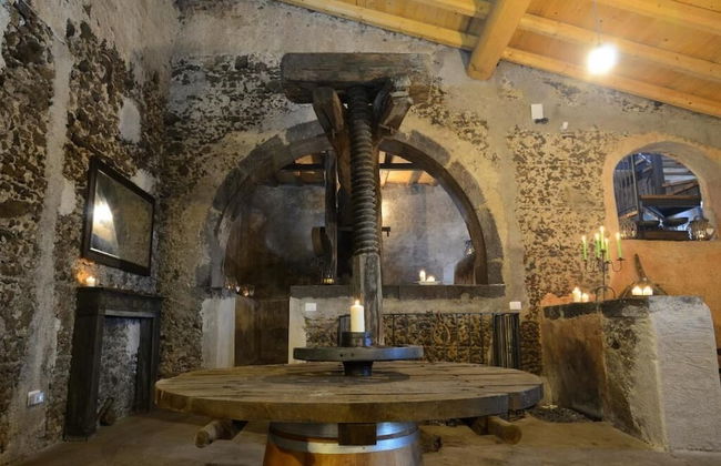 Il Tanaceto - Foto 37