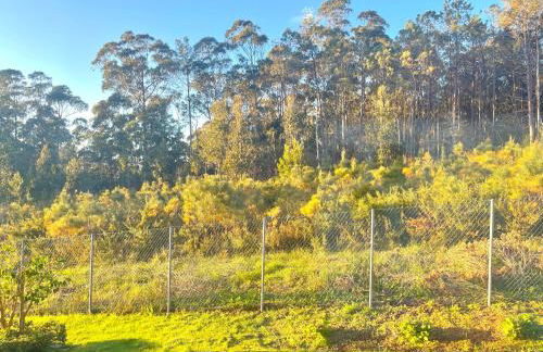 Alojamiento Ultreia - Estorde - Foto 20