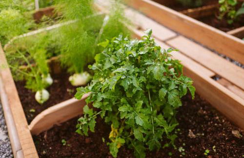 CASA 61 by Stay Madeira Island - Foto 28