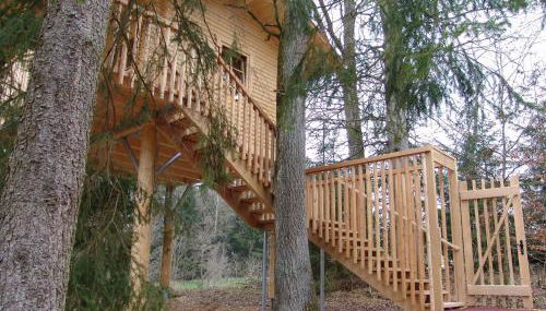 Baumhaus Hotel Voglsam - Foto 2