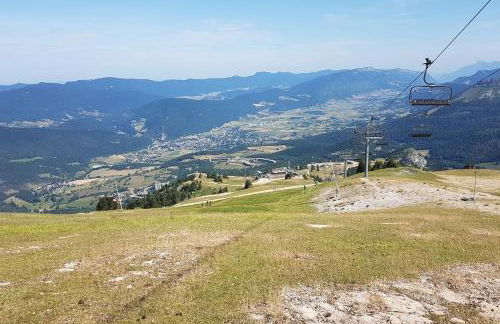STUDIO CHALEUREUX aux pieds des pistes de ski des Glovettes - Foto 33