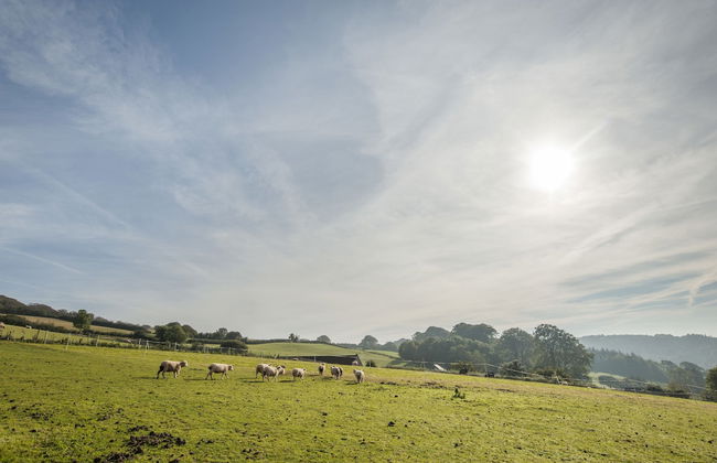 Tilbury Cottage - Foto 22