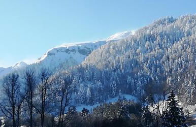 LA MONTILLE - Foto 8