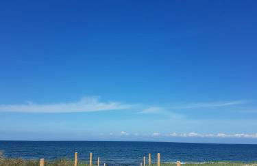 Sonnenstrahl im Küstenwald - Foto 17