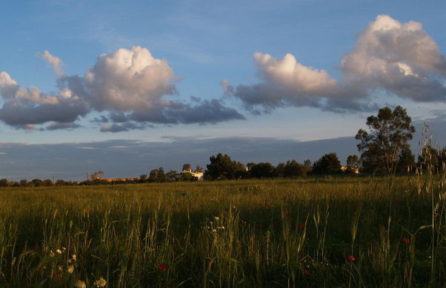 Masseria La Torre - Foto 55