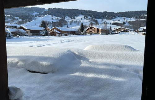 Chalet Esquinade 4 bedrooms appartment Megève - Foto 30