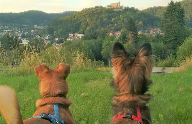 Holiday Home Fairytale hut - Foto 10