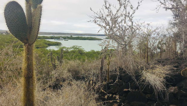 Randonnée à Las Grietas