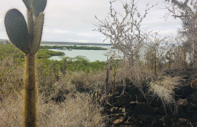 Excursion to Las Grietas & Alemanes Beach - Photo 5