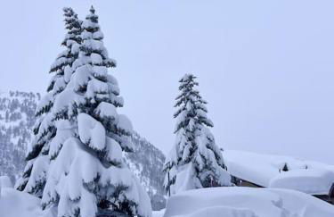 Baby Jane, Studio front de neige - Photo 57