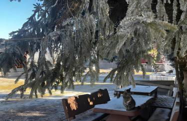 Das Falken Nest - Foto 25