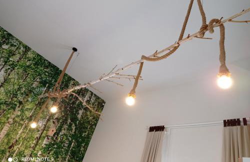 Studio Leśne - Foto 5