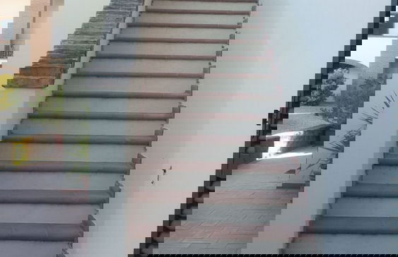 Fattoria La Steccaia - Foto 53