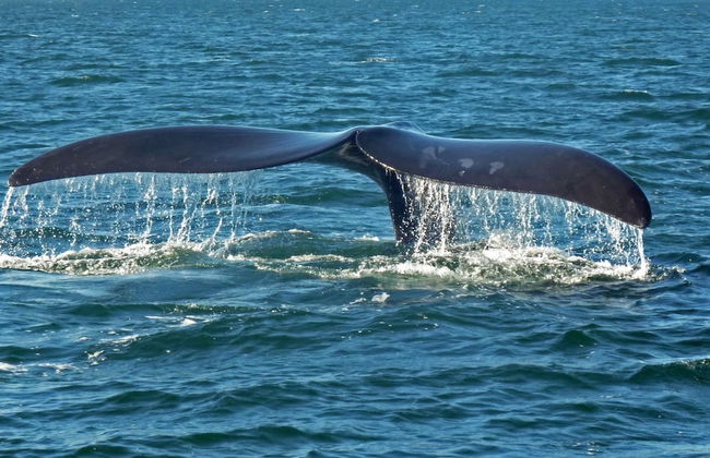 Apartments 521 - Foto 47