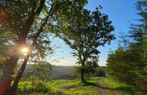 Bi Abbas Jong - Foto 18