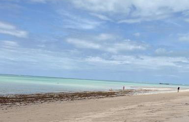 Miramar Bangalôs Maragogi - Foto 49