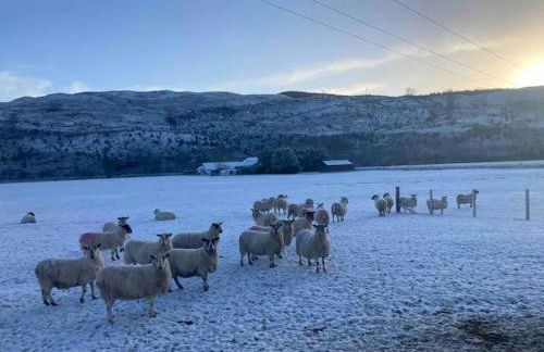 Siskin Cottage - Foto 19