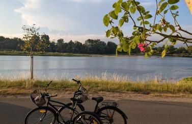 Maison de marinier les pieds dans l'eau face à la Loire - Photo 14