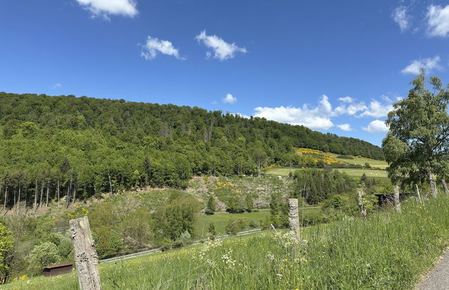 Ferienhaus Sackpfeifenblick, Hatzfeld - Foto 41