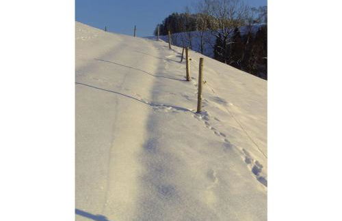 Pleasant Holiday Home With Balcony - Foto 27