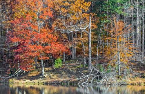 Equipped Cabin Surrounded by Nature in Indiana - Foto 18