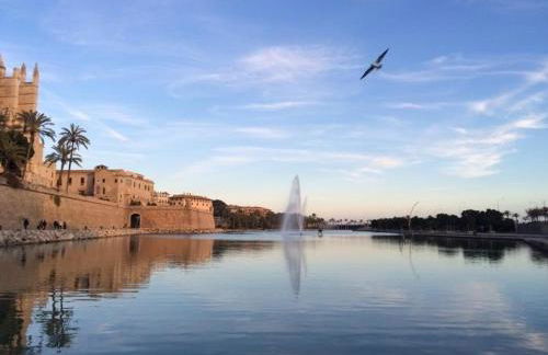 Can montis - Photo 21