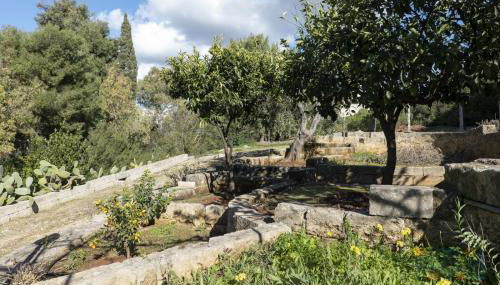 Casa Vacanza Lu Mare Puglia On line - Foto 4, Garden, Garden view