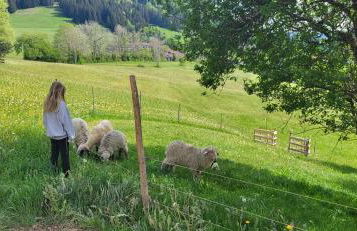 Ferienhof Rindalphorn mit Sauna in ländlicher Idylle - Foto 23