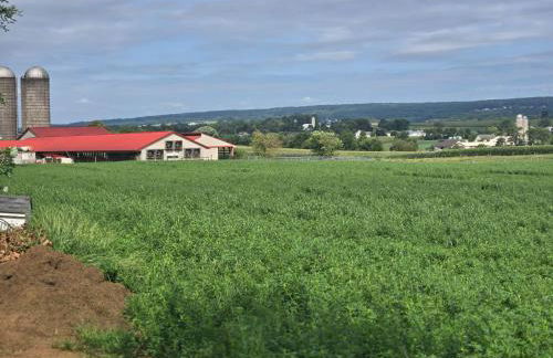 Amish Country Stay w/ Buggy Ride - Foto 6