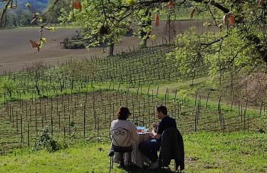 Antica Dimora - Foto 12