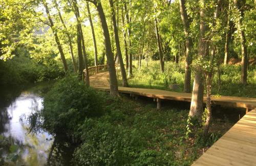 Casa do Volfrâmio - Foto 24