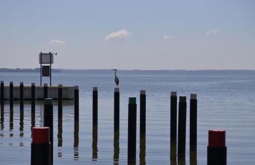 Aparthotel Seeschlösschen - Foto 59