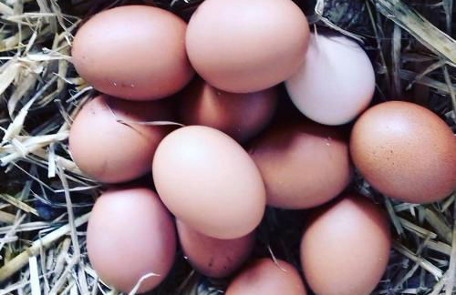 Le Chalet du Clos Giot - Foto 19