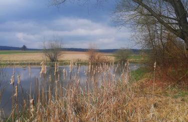 Haus Rosenbusch - Foto 6