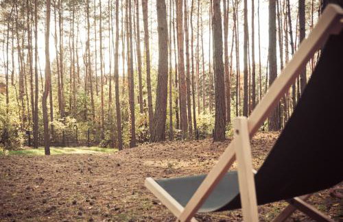 Masuria Warsaw - dom na wyłączność - w lesie i przy rzece - 15 min od Warszawy - Foto 39