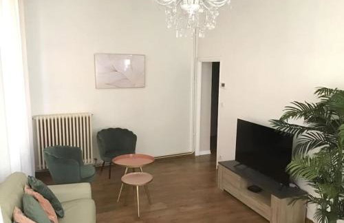 Hypercentre (avec parking), rare avec 3 chambres 3 salles d’eau - Foto 19