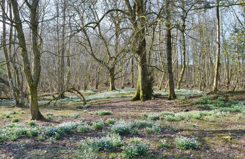 Laundry Cottage - Foto 19