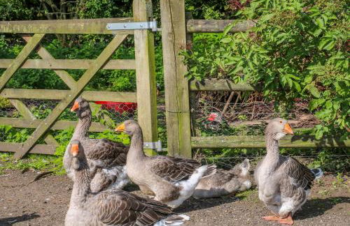 Chequer Stable - Photo 17