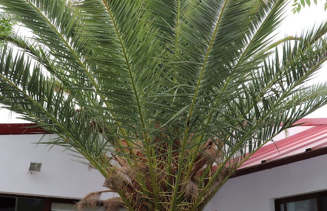 Agroturismo la finka - Foto 26