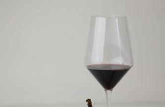 Tenuta Santo Stefano Azienda Agrituristica - Photo 73