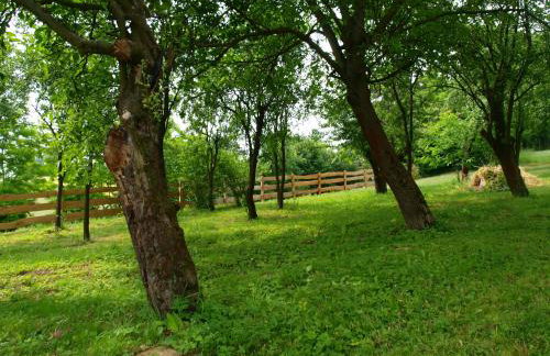 Panorama Racławicka Domek Willa Basen Agroturystyka - Foto 34