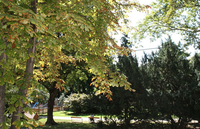 GoVienna Charming Studio - Foto 11