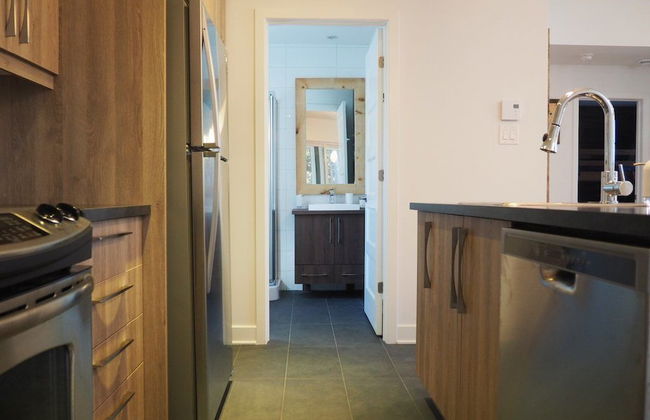 Domaine du parc de la forêt ouareau - Photo 11