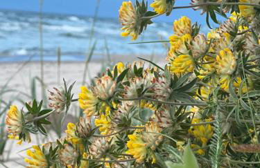 Harmony House - Photo 18