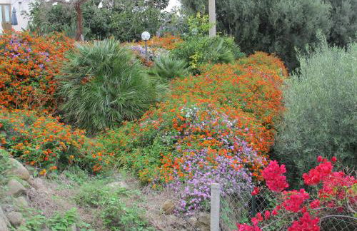 Stella Di Sicilia - Foto 13