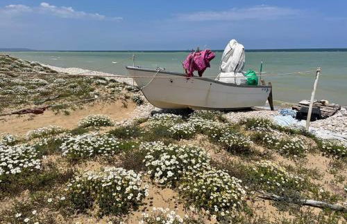 La Casa di Stefania LOFT - Foto 49