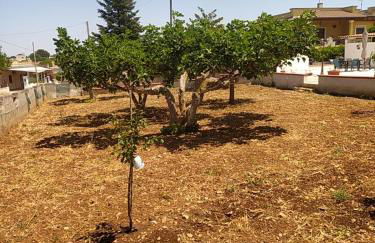 Villa Camilla e Donato - Foto 37