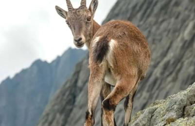 La Boheme, 2 min da Qc terme, free parking - Photo 57