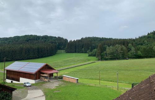 Idyllisches Ferienapartment Allgäu (Ehwiesmühle) - Foto 17